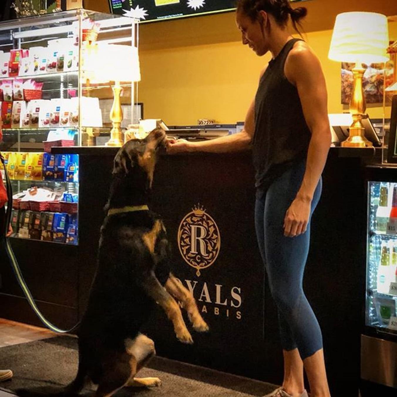 Royals Loves Dogs!