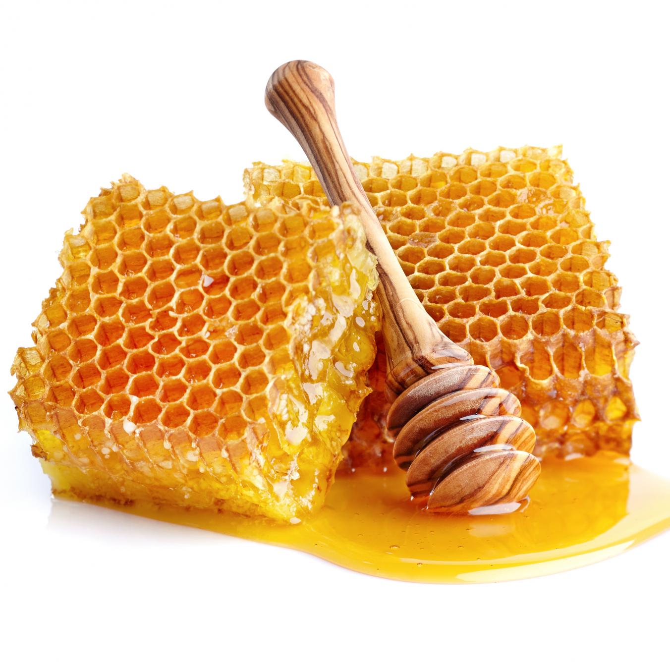 NEW Honeycomb by Sticky Budz! 