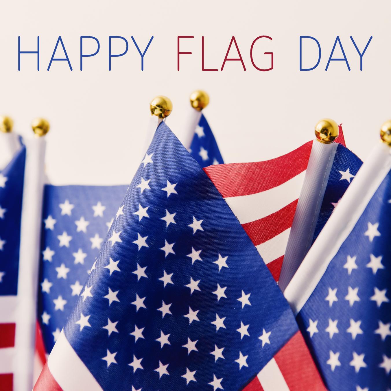 Happy Flag Day!
