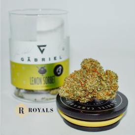 Gabriel Lemon Sorbet Royals Cannabis