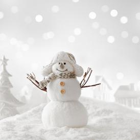 jack frost snowman royals cannabis shop spokane